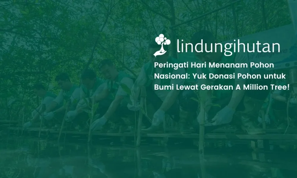 hari-menanam-pohon-nasional:-yuk-donasi-di-gerakan-a-million-tree!