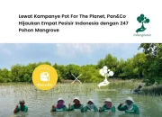 Pan&Co Tanam 247 Pohon Mangrove di 4 Lokasi Bersama LindungiHutan