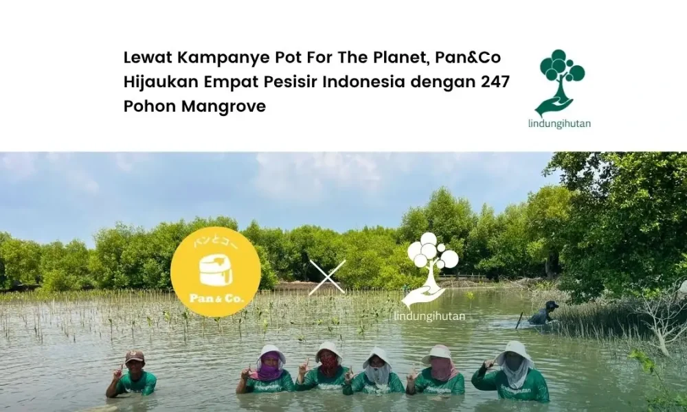 pan&co-tanam-247-pohon-mangrove-di-4-lokasi-bersama-lindungihutan