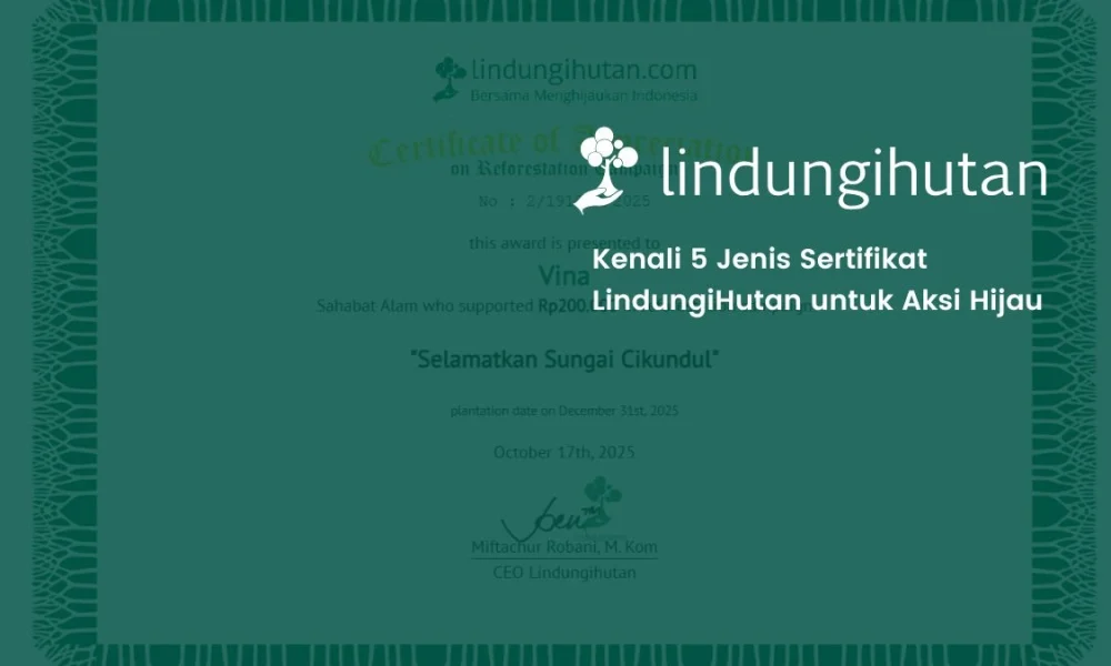5-jenis-sertifikat-lindungihutan-yang-bisa-anda-dapatkan