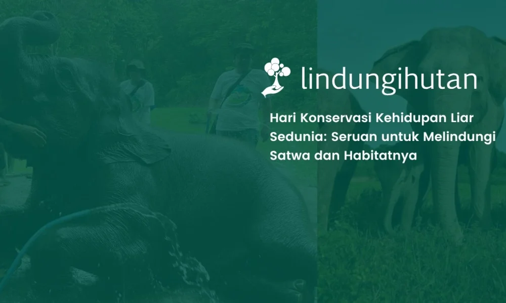 hari-konservasi-kehidupan-liar-sedunia-savetessonilo