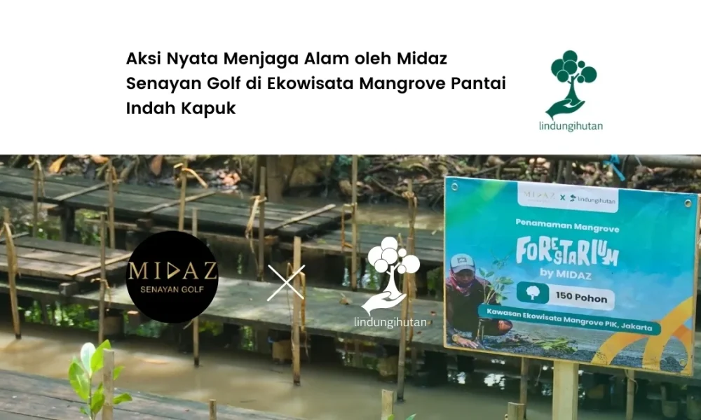 midaz-senayan-golf-tanam-mangrove-di-hutan-mangrove-pantai-indah-kapuk