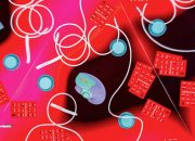 Hadiah Natal terbaik yang kami sukai di bawah $50