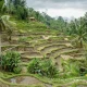 5-things-to-do-for-a-sustainable-trip-in-bali