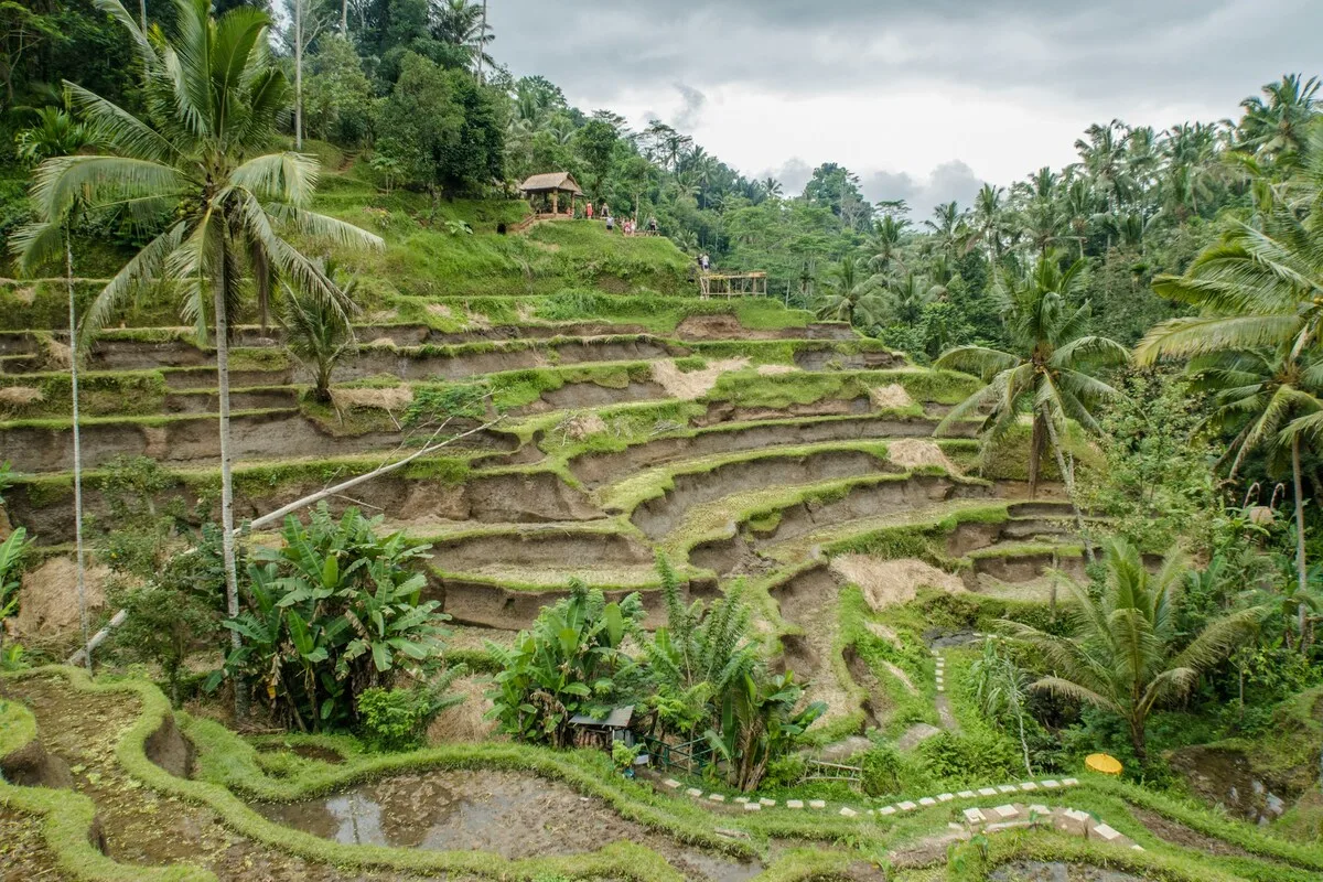 5-things-to-do-for-a-sustainable-trip-in-bali