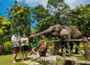 7 Tempat Wisata Keluarga di Jogja, Cocok untuk Si Kecil!