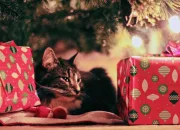 8 Ide Kado Natal untuk Teman Cewek dan Cowok