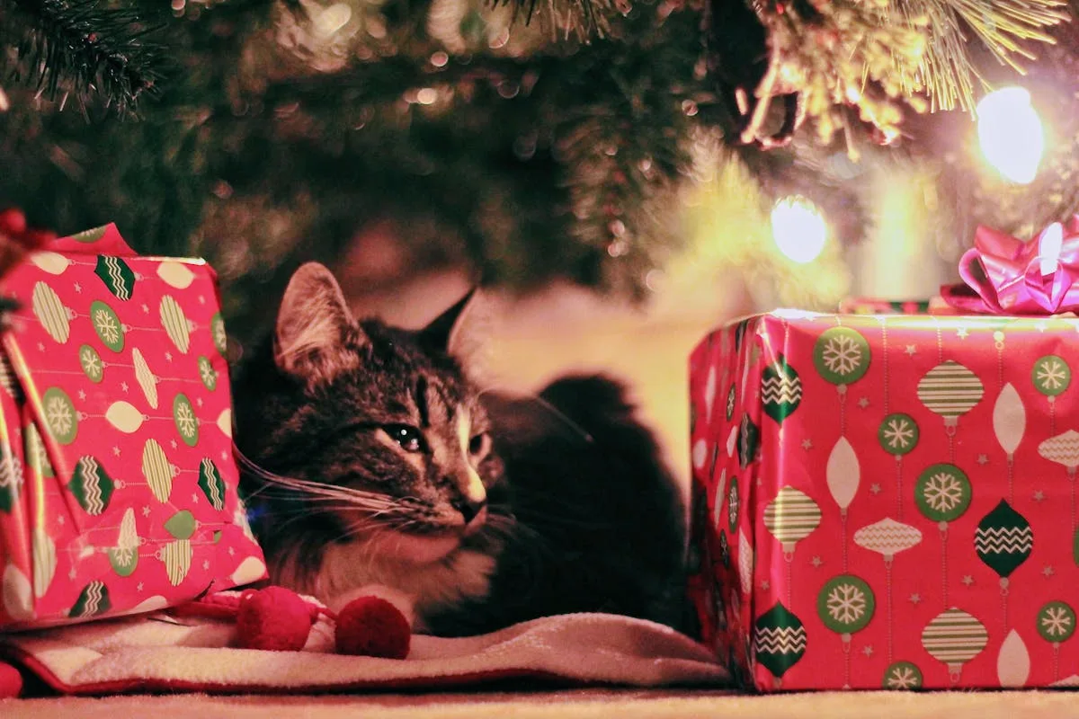 8-ide-kado-natal-untuk-teman-cewek-dan-cowok