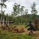 6-tempat-wisata-keluarga-di-bandung-murah-dan-fun
