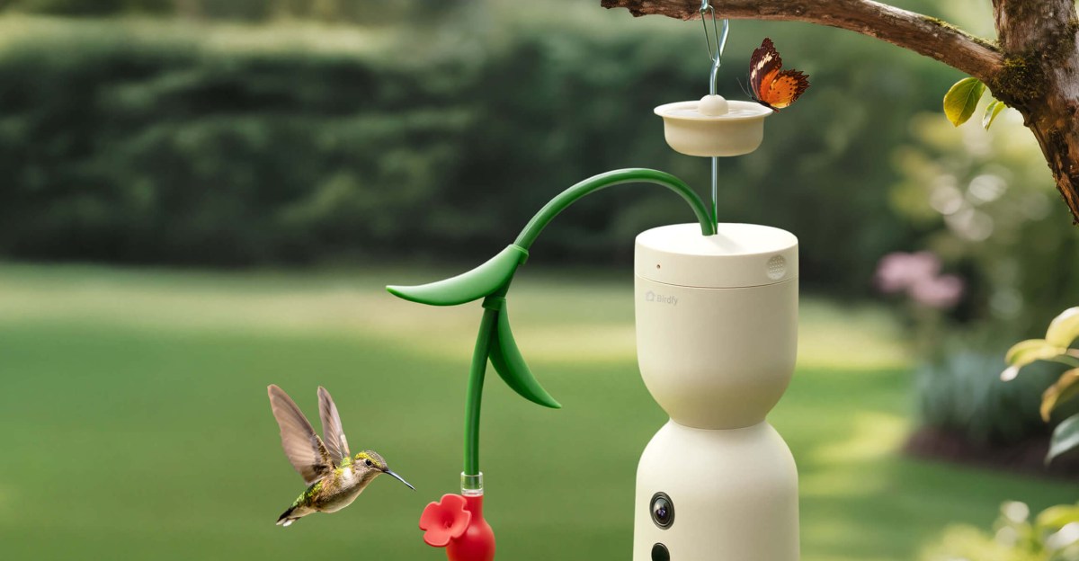 hum-bloom-dari-birdfy-menangkap-rekaman-gerakan-lambat-burung-kolibri-dengan-kecepatan-120fps