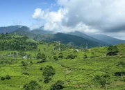 6 Tempat Wisata Alam di Bogor Paling Menyejukkan Hati