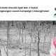 kolaborasi-michelle-claudia-dalam-campaign-lingkungan-bersama-lindungihutan