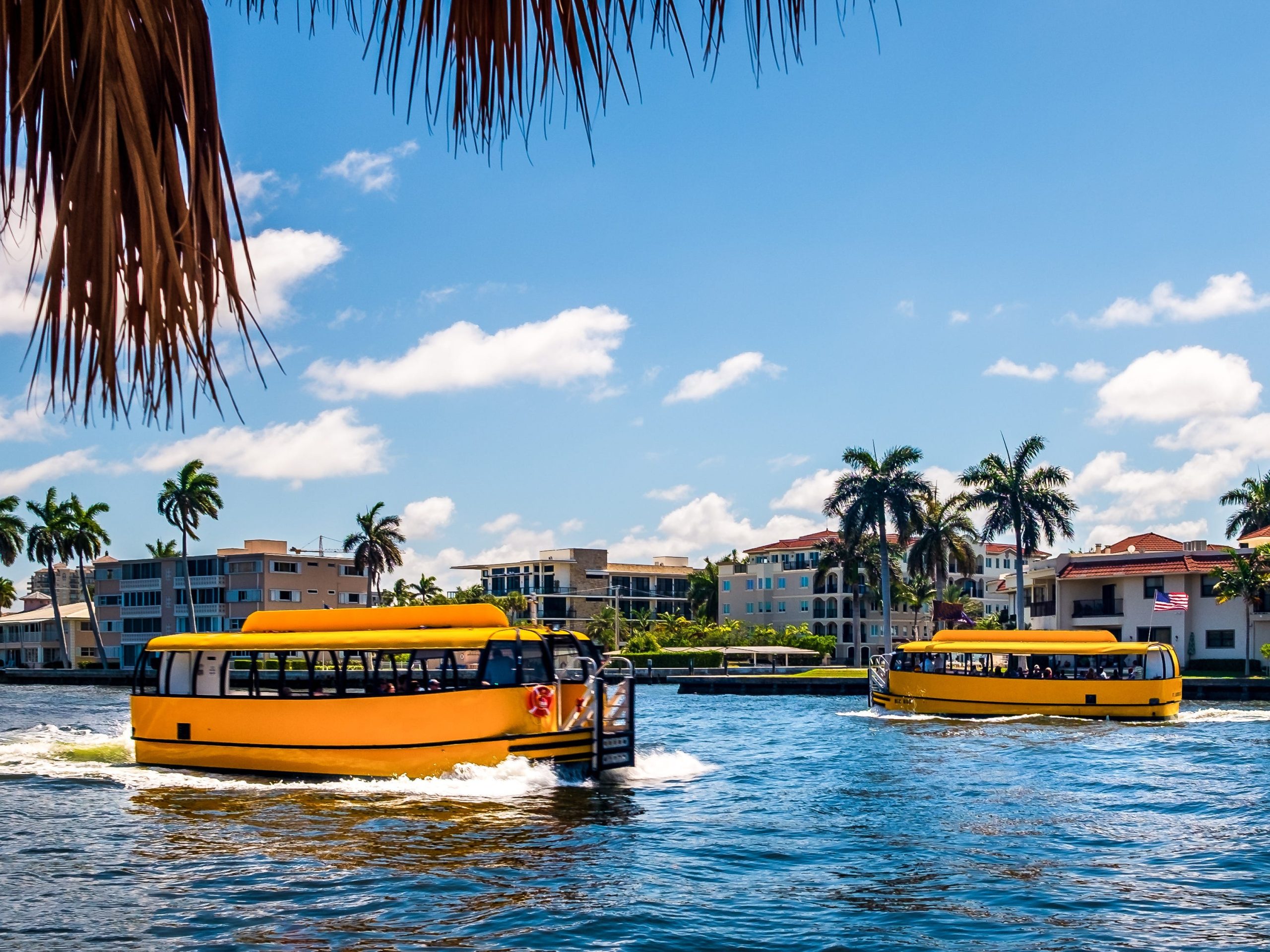 saya-suka-mengunjungi-‘venesia-amerika’-di-florida-kota-ini-luar-biasa-—-pastikan-untuk-menyesuaikan-harapan-anda.