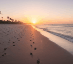 Beberapa Aturan Penting Untuk Memperkuat Ikatan Anda Dengan Pasangan