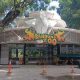 masa-depan-bandung-zoo-ditentukan-2-bulan-lagi,-apa-pertimbangannya?