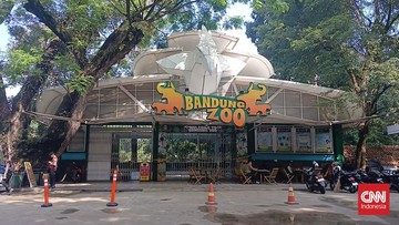 masa-depan-bandung-zoo-ditentukan-2-bulan-lagi,-apa-pertimbangannya?
