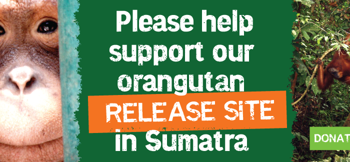 VIETNAM KECIL BRISBANE – INALA | TUR BERJALAN AUSTRALIA