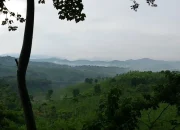 Gunung Gumitir, Kecantikan Misterius di Perbatasan Jawa Timur