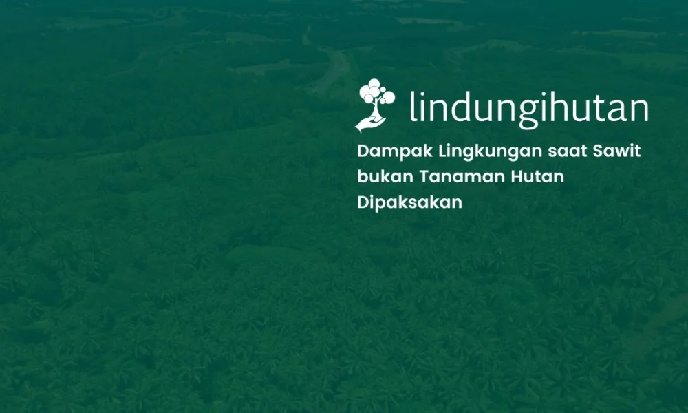 sawit-bukan-tanaman-hutan-dan-dampaknya-pada-lingkungan