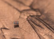 Robot Akuatik Otonom Ini Lebih Kecil Dari Sebutir Garam