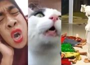 12+ Cara Manjur Bangunkan Sahur yang Gokil dan Kreatif. Jaminan Nggak Gelagapan dan Keburu Imsak