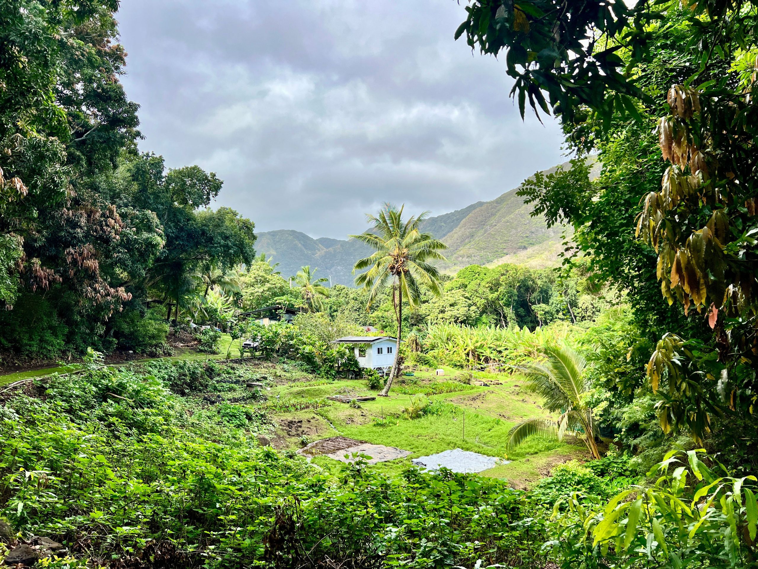 saya-besar-di-hawaii,-namun-baru-saja-mengunjungi-‘pulau-ramah’-berikut-9-hal-yang-mengejutkan-saya-tentang-perjalanan-saya.