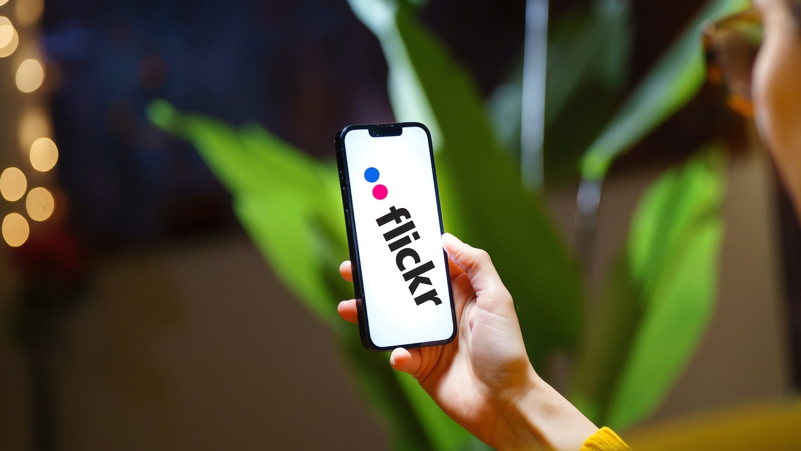 flickr-mengungkapkan-potensi-pelanggaran-data-yang-memperlihatkan-nama-pengguna,-email