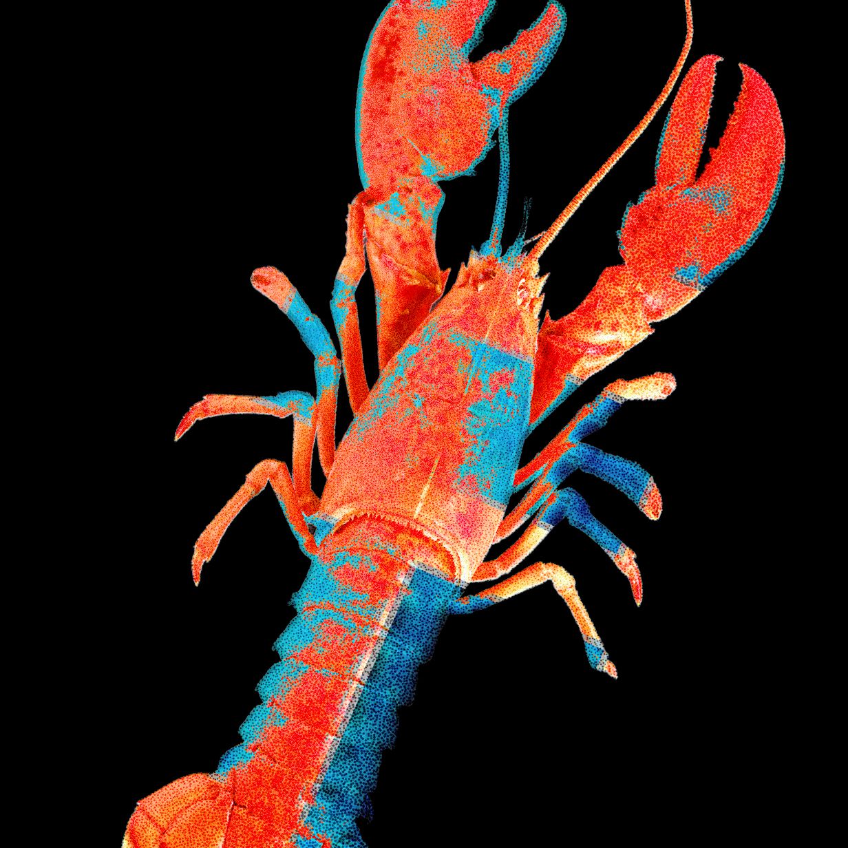 moltbook,-jejaring-sosial-untuk-agen-ai,-mengungkap-data-manusia-asli