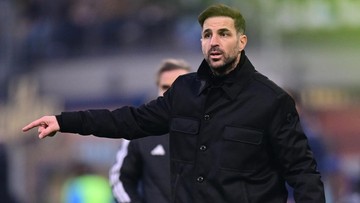 petinggi-como:-fabregas-pelatih-kelas-dunia