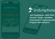 Reforestathon Resmi Dirilis, Mari Ikut Program Reforestathon