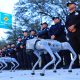 robot-anjing-sedang-patroli-di-piala-dunia-2026-di-meksiko