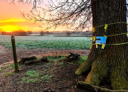 Kota Kecil di Inggris Tersapu dalam Perlombaan Senjata AI Global