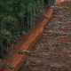 ahli-ipb-ungkap-deforestasi-picu-risiko-penyakit-dan-kerusakan-fungsi-ekologis-hutan