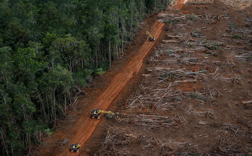 ahli-ipb-ungkap-deforestasi-picu-risiko-penyakit-dan-kerusakan-fungsi-ekologis-hutan