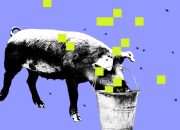 Apakah Big Tech benar-benar peduli dalam memerangi kecerobohan AI?