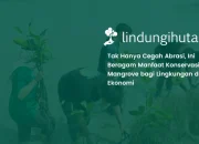 manfaat-konservasi-mangrove-bagi-lingkungan-dan-ekonomi