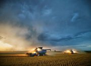 Perang Trump terhadap Iran Bisa Mengacaukan Petani AS