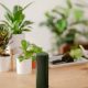 speaker-bluetooth-kef-muo:-hi-fi-portabel