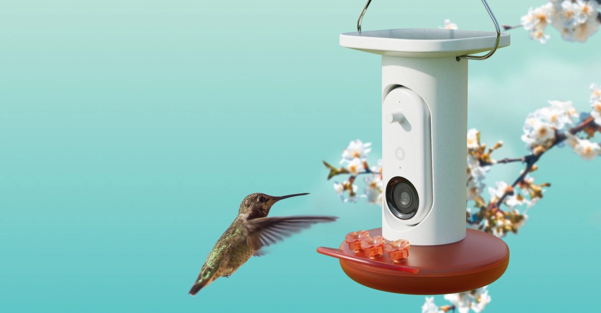 pengumpan-burung-kolibri-bertenaga-ai-dari-birdbuddy-memiliki-harga-terbaik-hingga-saat-ini