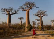 bagaimana-rasanya-berwisata-ke-madagaskar?