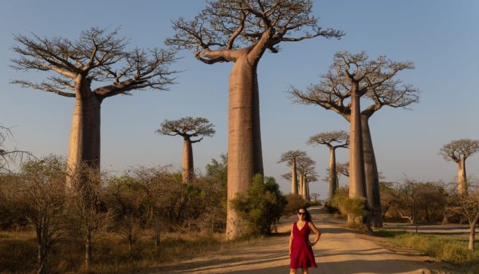 Bagaimana rasanya berwisata ke Madagaskar?