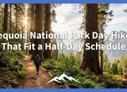 Pendakian Hari Taman Nasional Sequoia yang Sesuai dengan Jadwal Setengah Hari