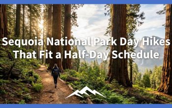 Pendakian Hari Taman Nasional Sequoia yang Sesuai dengan Jadwal Setengah Hari