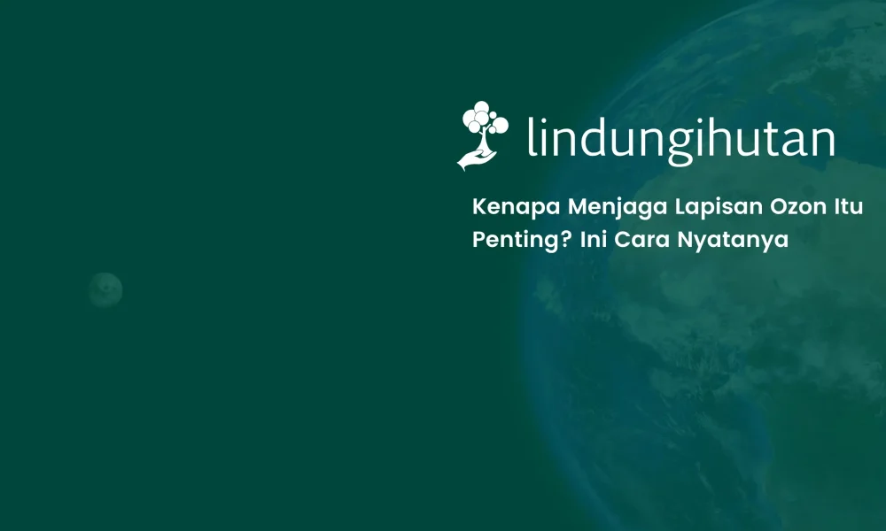 10-cara-melindungi-lapisan-ozon-yang-bisa-dimulai-hari-ini