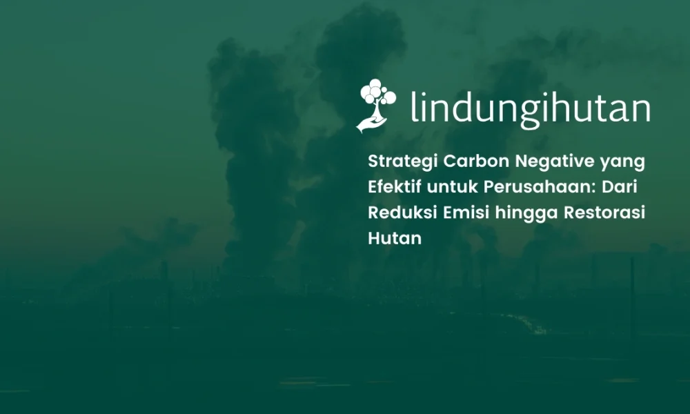 strategi-carbon-negative-perusahaan:-5-langkah-yang-bisa-dilakukan