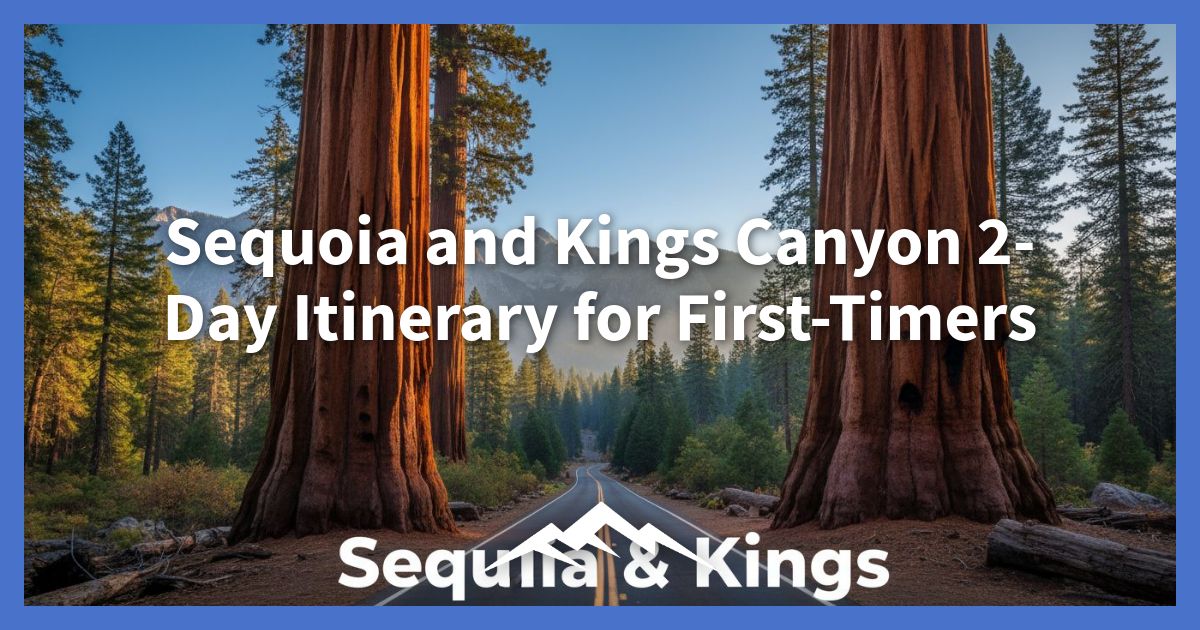 rencana-perjalanan-2-hari-sequoia-dan-kings-canyon-untuk-pemula