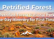 rencana-perjalanan-satu-hari-taman-nasional-hutan-membatu-untuk-pemula