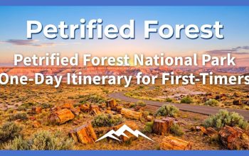 Rencana Perjalanan Satu Hari Taman Nasional Hutan Membatu untuk Pemula