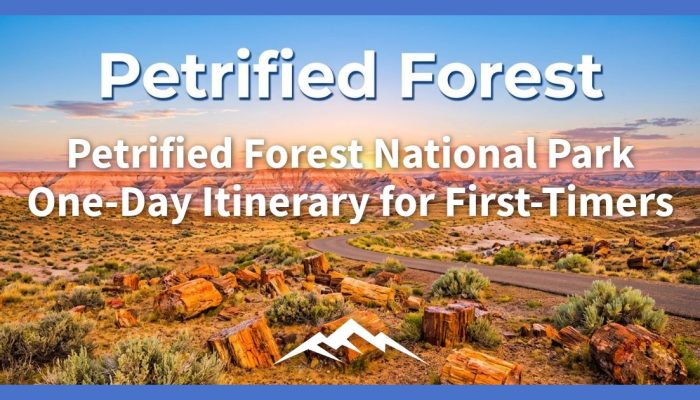 Rencana Perjalanan Satu Hari Taman Nasional Hutan Membatu untuk Pemula