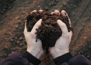 kompos-jasad-manusia-jadi-alternatif-pemakaman,-begini-prosesnya